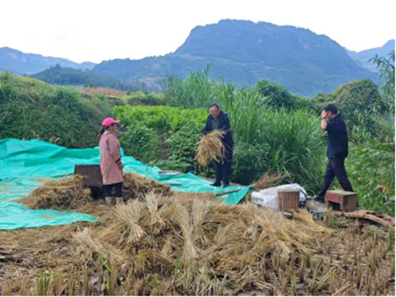 未命名_副本3.jpg 未命名_副本3.jpg