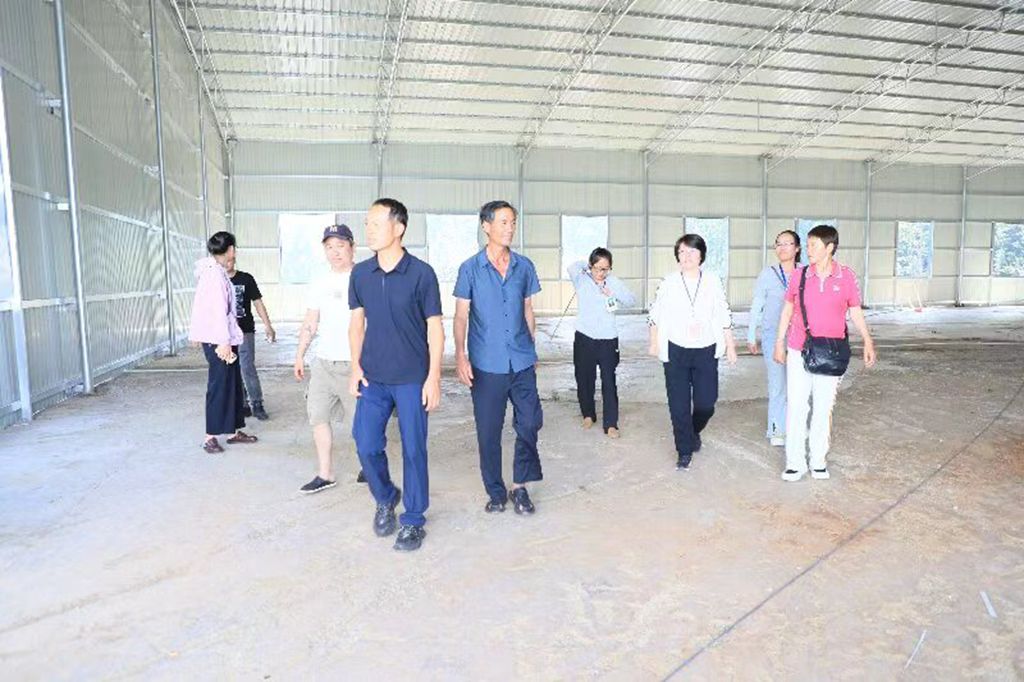 微信图片_20260531212044_68_24_副本.jpg 微信图片_20260531212044_68_24_副本.jpg